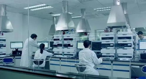 当医药巨头跨界营养品 三十年经验如何重塑热能产品研发新范式