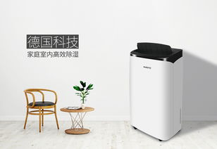 除湿机选购指南 详解不同模式，找到最适合你的那一款