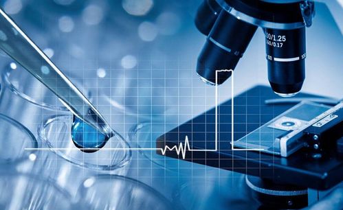 致力美好创造 华丝兰，一家正在崛起的国货新星