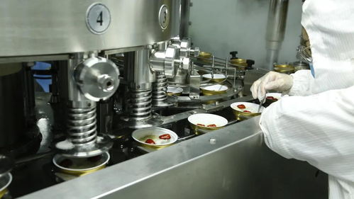 饮食新蓝海 燕窝汤膳生产线切入鲜食赛道，打造品质制造新标杆